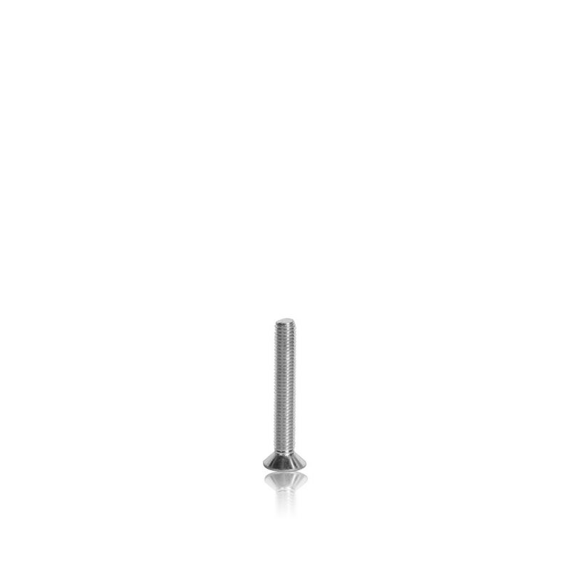 Skruv TSEI M8X55