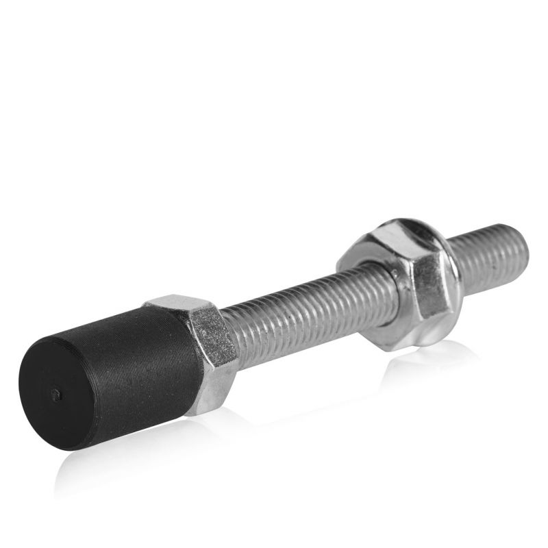 Engine stop bolt